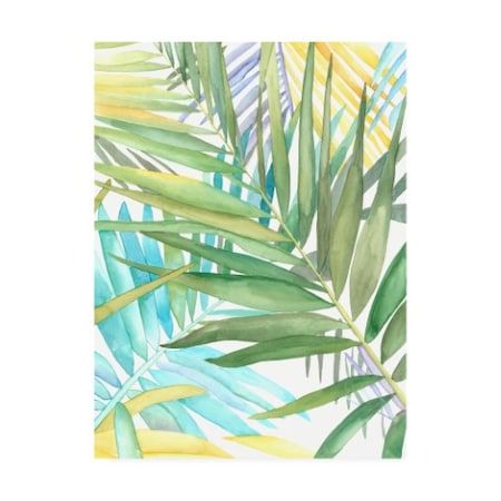 Megan Meagher 'Tropical Pattern Ii' Canvas Art,14x19